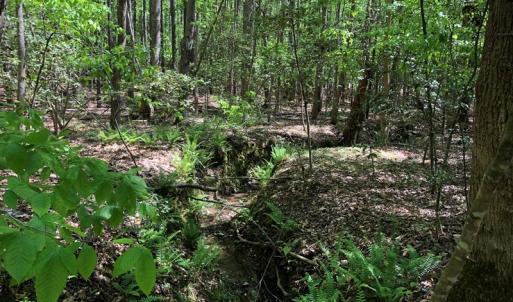 Photo #24 of SOLD property in off Country Lane, Gasburg, VA 7.0 acres