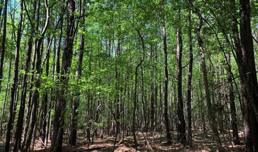 Photo #25 of SOLD property in off Country Lane, Gasburg, VA 7.0 acres