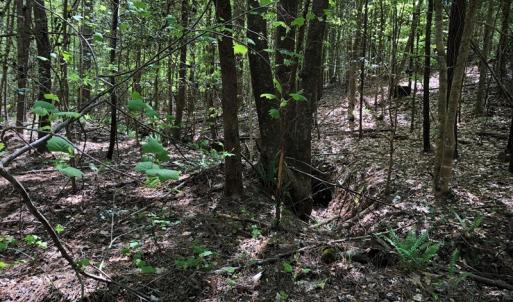 Photo #27 of SOLD property in off Country Lane, Gasburg, VA 7.0 acres