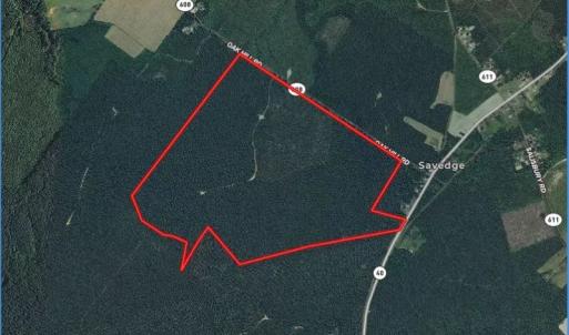 Photo #1 of SOLD property in off Oak Hill Rd and Rt. 40, Waverly, VA 234.0 acres