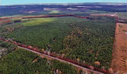 Photo #9 of SOLD property in off Oak Hill Rd and Rt. 40, Waverly, VA 234.0 acres
