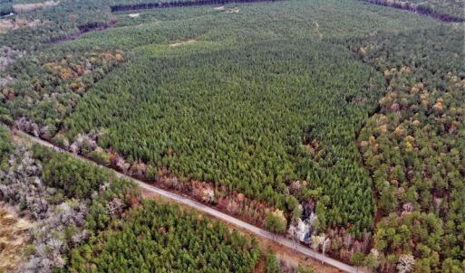 Photo #10 of SOLD property in off Oak Hill Rd and Rt. 40, Waverly, VA 234.0 acres