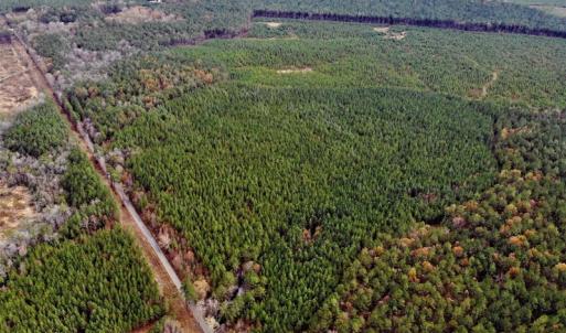 Photo #11 of SOLD property in off Oak Hill Rd and Rt. 40, Waverly, VA 234.0 acres