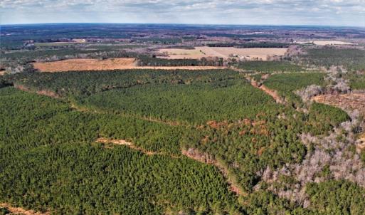 Photo #14 of SOLD property in off Oak Hill Rd and Rt. 40, Waverly, VA 234.0 acres