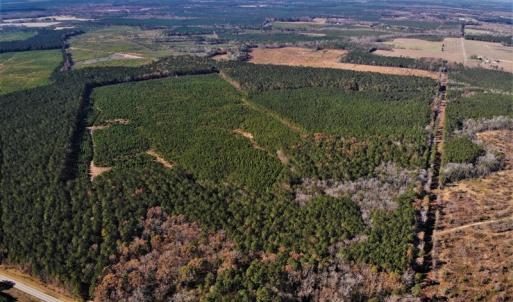 Photo #15 of SOLD property in off Oak Hill Rd and Rt. 40, Waverly, VA 234.0 acres