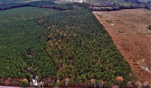 Photo #21 of SOLD property in off Oak Hill Rd and Rt. 40, Waverly, VA 234.0 acres