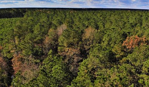 Photo #27 of SOLD property in off Oak Hill Rd and Rt. 40, Waverly, VA 234.0 acres