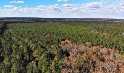 Photo #28 of SOLD property in off Oak Hill Rd and Rt. 40, Waverly, VA 234.0 acres
