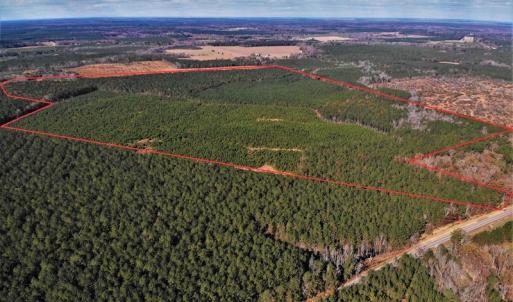 Photo #3 of SOLD property in off Oak Hill Rd and Rt. 40, Waverly, VA 234.0 acres