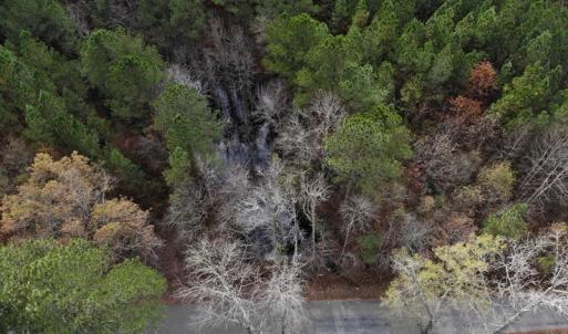 Photo #40 of SOLD property in off Oak Hill Rd and Rt. 40, Waverly, VA 234.0 acres