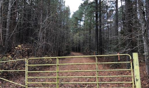 Photo #44 of SOLD property in off Oak Hill Rd and Rt. 40, Waverly, VA 234.0 acres