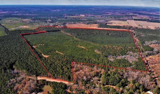 Photo #4 of SOLD property in off Oak Hill Rd and Rt. 40, Waverly, VA 234.0 acres