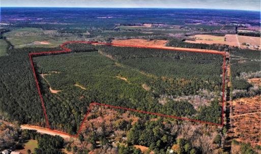 Photo #5 of SOLD property in off Oak Hill Rd and Rt. 40, Waverly, VA 234.0 acres