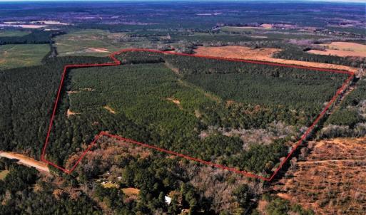 Photo #6 of SOLD property in off Oak Hill Rd and Rt. 40, Waverly, VA 234.0 acres