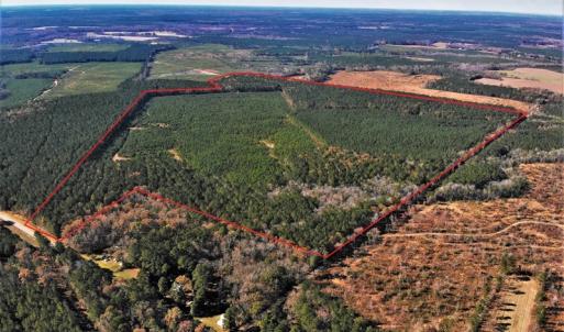 Photo #7 of SOLD property in off Oak Hill Rd and Rt. 40, Waverly, VA 234.0 acres