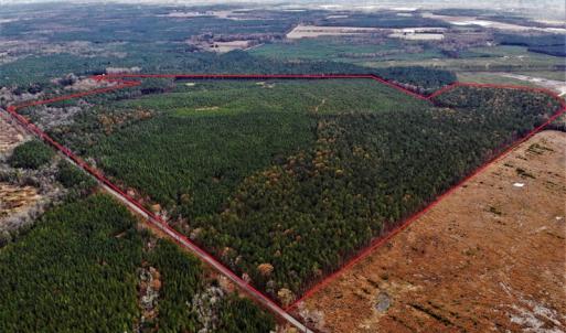 Photo #8 of SOLD property in off Oak Hill Rd and Rt. 40, Waverly, VA 234.0 acres