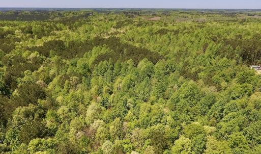 Photo #22 of SOLD property in Off Julie McKnight Rd, Kittrell, NC 16.6 acres