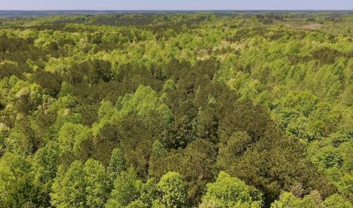 Photo #23 of SOLD property in Off Julie McKnight Rd, Kittrell, NC 16.6 acres