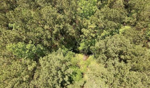 Photo #24 of SOLD property in Off Julie McKnight Rd, Kittrell, NC 16.6 acres