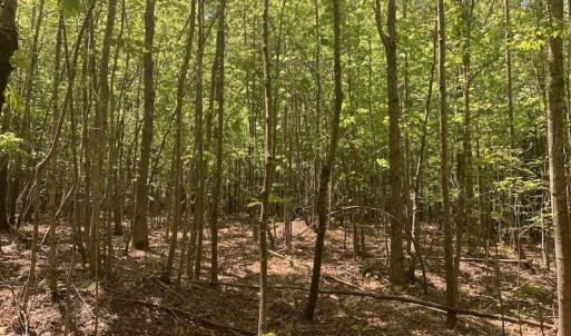 Photo #26 of SOLD property in Off Julie McKnight Rd, Kittrell, NC 16.6 acres