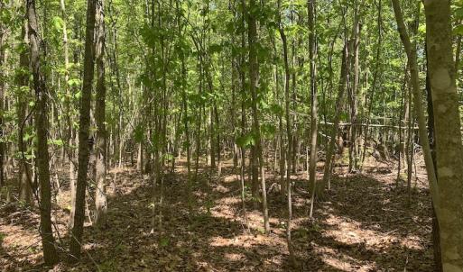 Photo #27 of SOLD property in Off Julie McKnight Rd, Kittrell, NC 16.6 acres