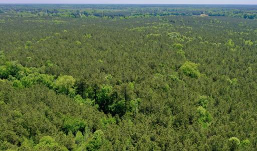 Photo #4 of SOLD property in Off Hwy 561, Saint John, NC 17.7 acres