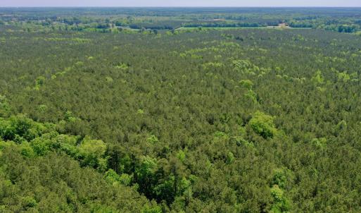 Photo #5 of SOLD property in Off Hwy 561, Saint John, NC 17.7 acres