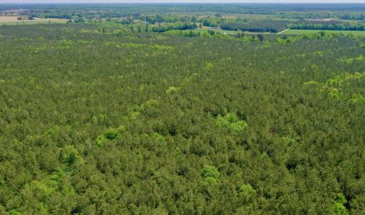 Photo #7 of SOLD property in Off Hwy 561, Saint John, NC 17.7 acres