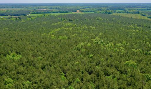Photo #8 of SOLD property in Off Hwy 561, Saint John, NC 17.7 acres