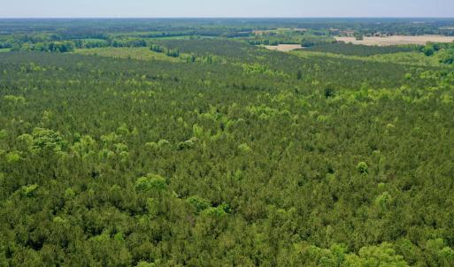 Photo #9 of SOLD property in Off Hwy 561, Saint John, NC 17.7 acres