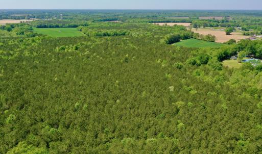 Photo #10 of SOLD property in Off Hwy 561, Saint John, NC 17.7 acres