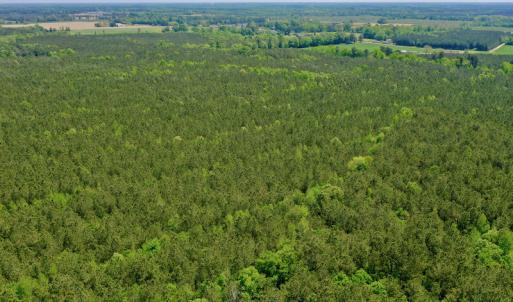 Photo #12 of SOLD property in Off Hwy 561, Saint John, NC 17.7 acres