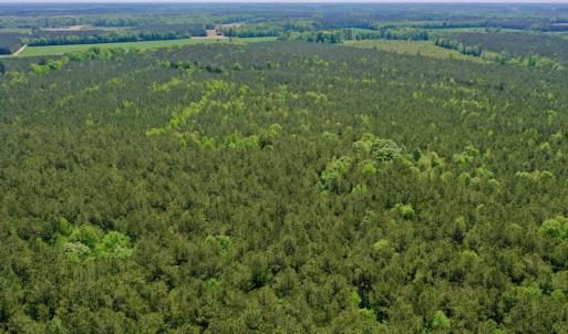 Photo #14 of SOLD property in Off Hwy 561, Saint John, NC 17.7 acres