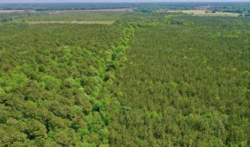 Photo #15 of SOLD property in Off Hwy 561, Saint John, NC 17.7 acres