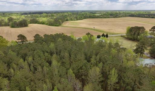 Photo #10 of SOLD property in Off Piney Woods Road , Halifax, NC 3.3 acres
