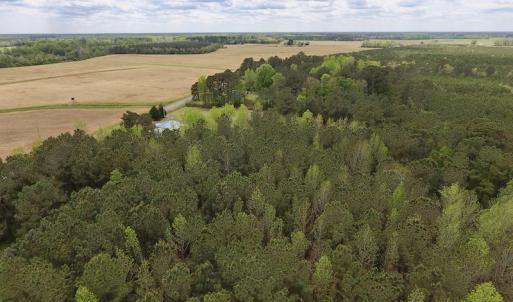 Photo #11 of SOLD property in Off Piney Woods Road , Halifax, NC 3.3 acres