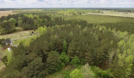 Photo #12 of SOLD property in Off Piney Woods Road , Halifax, NC 3.3 acres