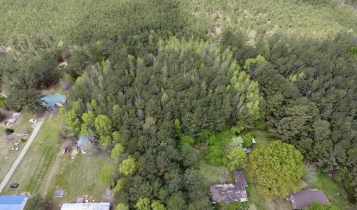 Photo #13 of SOLD property in Off Piney Woods Road , Halifax, NC 3.3 acres