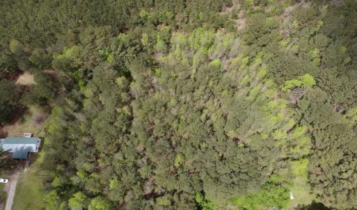 Photo #14 of SOLD property in Off Piney Woods Road , Halifax, NC 3.3 acres