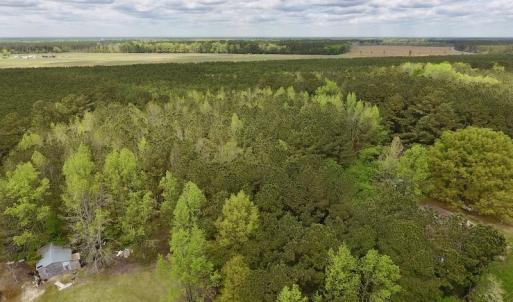Photo #4 of SOLD property in Off Piney Woods Road , Halifax, NC 3.3 acres
