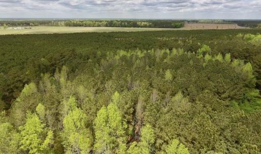 Photo #5 of SOLD property in Off Piney Woods Road , Halifax, NC 3.3 acres