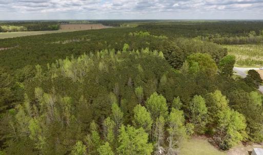 Photo #6 of SOLD property in Off Piney Woods Road , Halifax, NC 3.3 acres