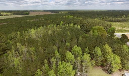Photo #6 of SOLD property in Off Piney Woods Road , Halifax, NC 3.3 acres