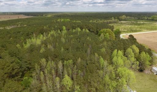 Photo #7 of SOLD property in Off Piney Woods Road , Halifax, NC 3.3 acres