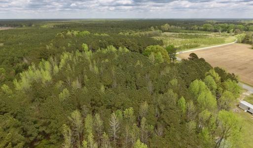 Photo #8 of SOLD property in Off Piney Woods Road , Halifax, NC 3.3 acres