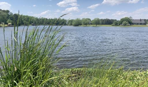 Photo #23 of SOLD property in Off Silver Lake Drive  , Warsaw, NC 22.2 acres