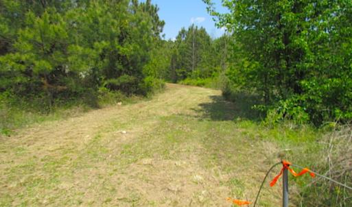 Photo #3 of SOLD property in  Off Dill Rd , Suffolk, VA 5.0 acres