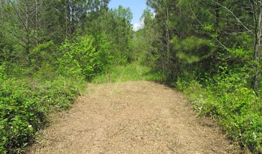 Photo #5 of SOLD property in  Off Dill Rd , Suffolk, VA 5.0 acres