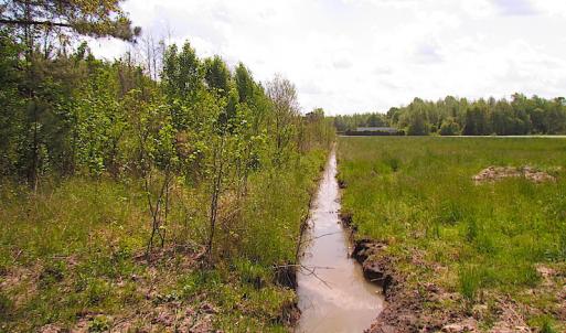 Photo #13 of SOLD property in  Off Dill Rd , Suffolk, VA 5.0 acres