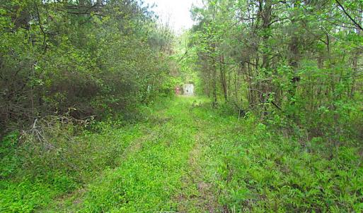 Photo #21 of SOLD property in  Off Dill Rd , Suffolk, VA 5.0 acres